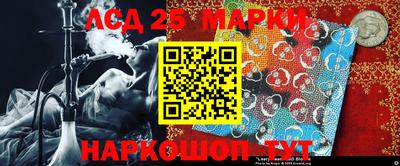 дурь Сланцы