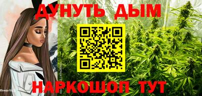 дурь Сланцы