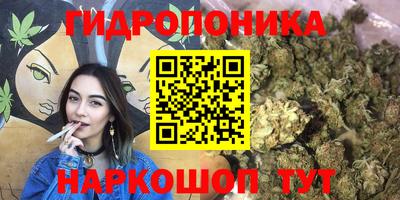 дурь Сланцы