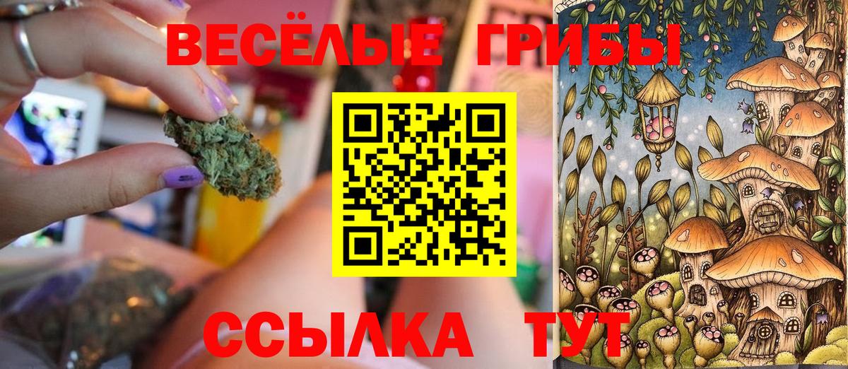 Псилоцибиновые грибы мухоморы Петропавловск-Камчатский