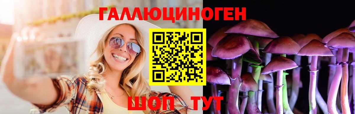 Гашиш  Петропавловск-Камчатский  Кокаин  МАРИХУАНА  Cocaine  Купить наркотики цена  МЕФ   Вход с VPN 
